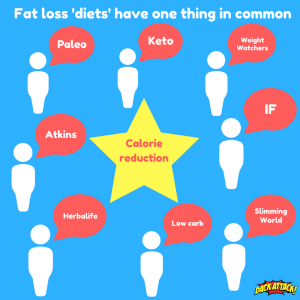 lose fat